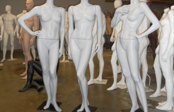 Finding a Used Mannequin